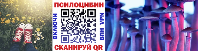 блэк спрут маркетплейс  магазин продажи наркотиков  Одинцово  Псилоцибиновые грибы ЛСД 