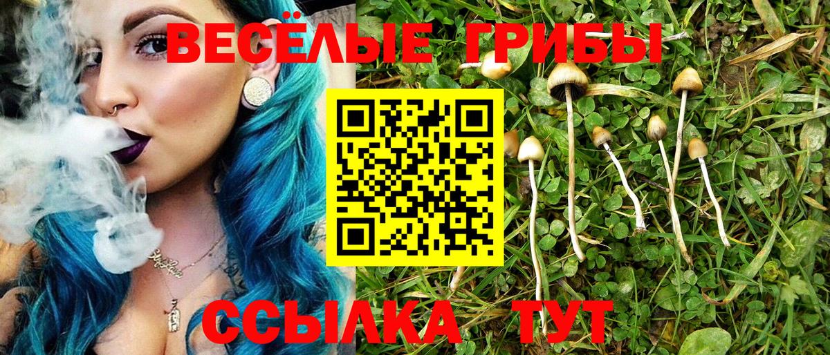 Псилоцибиновые грибы ЛСД  Вход с VPN  Одинцово 