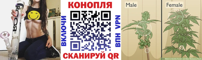 дарк нет как зайти Одинцово Бошки марихуана планчик